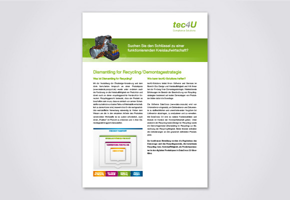 Download Flyer Dismantling for Recycling